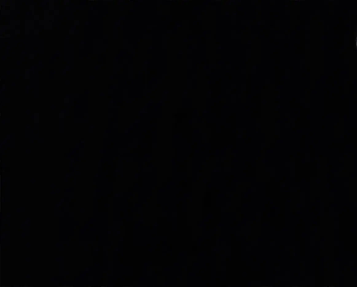 Wholesale i can see this image appears to be completely black or failed to load properly. i'm unable to identify any product